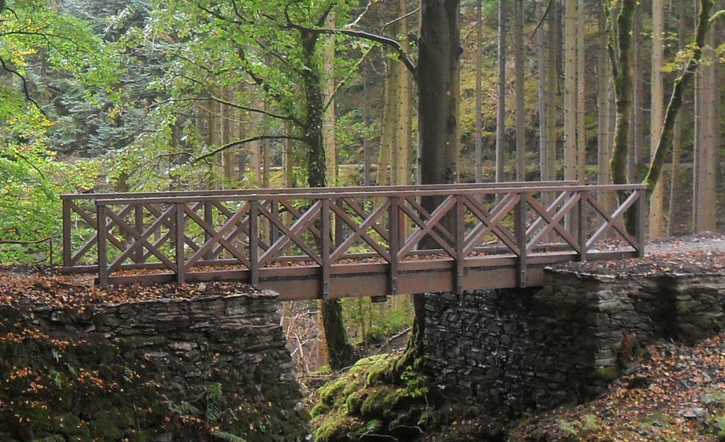 Hardwood bridge with Type C parapet - Ref 4335